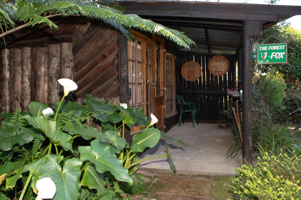 Andelomi Forest Lodge Стормсрівер Екстер'єр фото