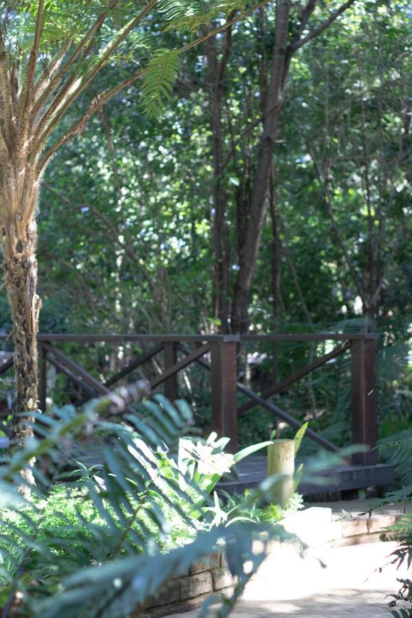 Andelomi Forest Lodge Стормсрівер Екстер'єр фото