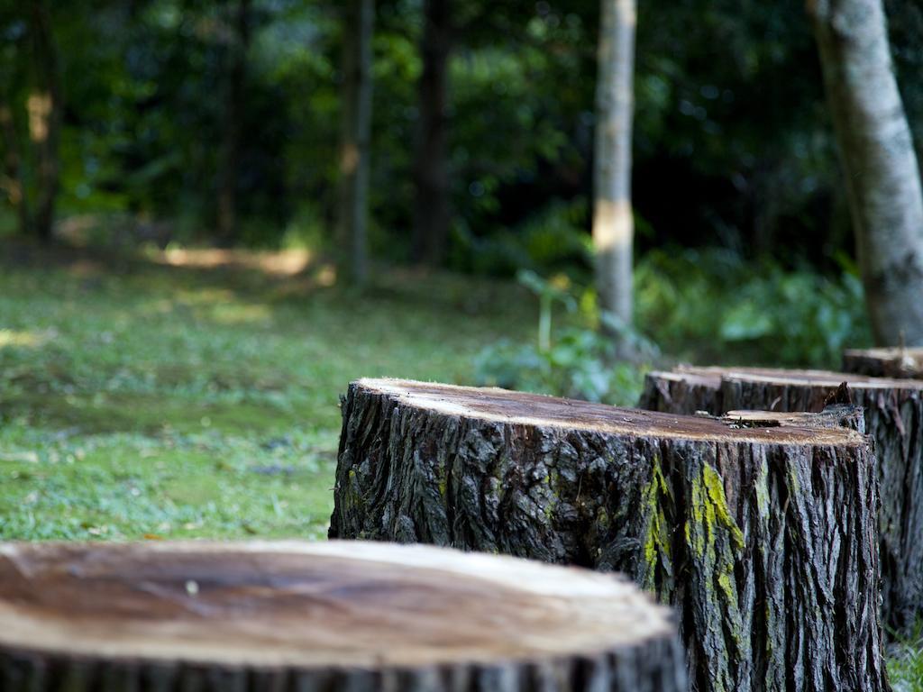 Andelomi Forest Lodge Стормсрівер Екстер'єр фото