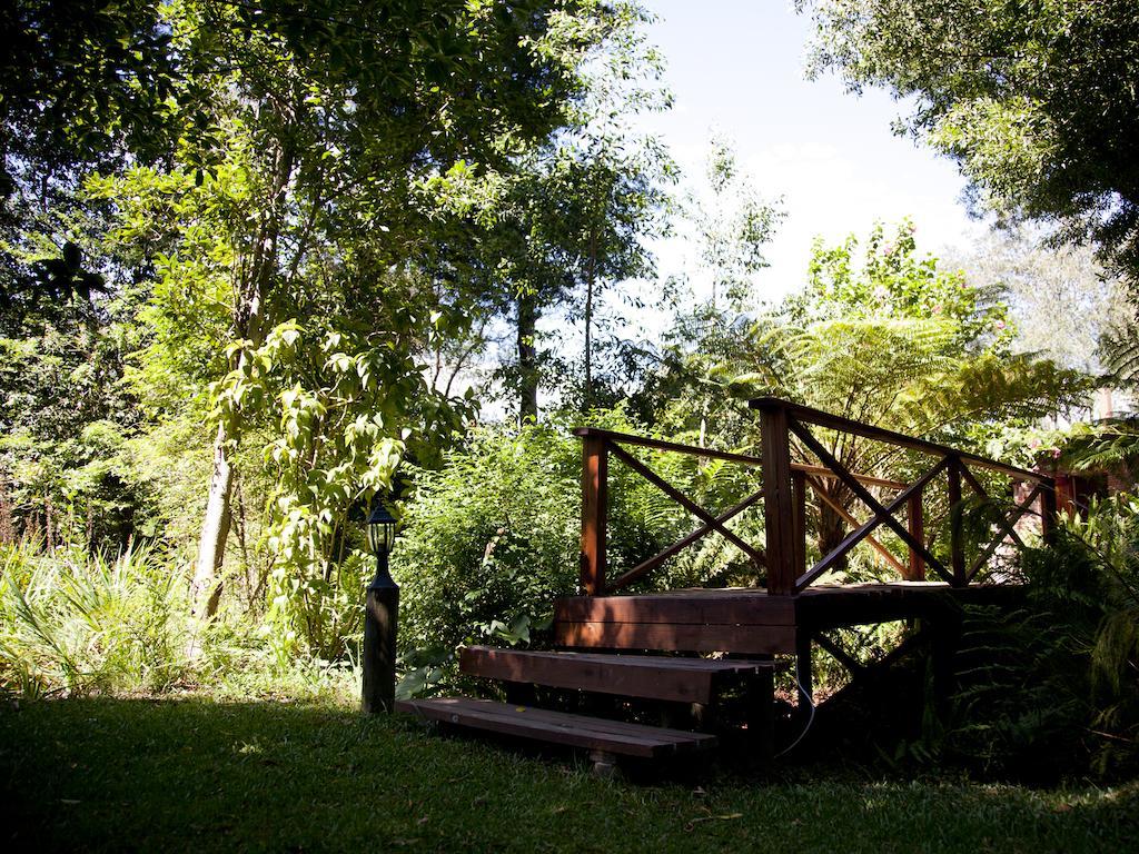 Andelomi Forest Lodge Стормсрівер Екстер'єр фото