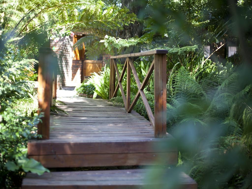 Andelomi Forest Lodge Стормсрівер Екстер'єр фото