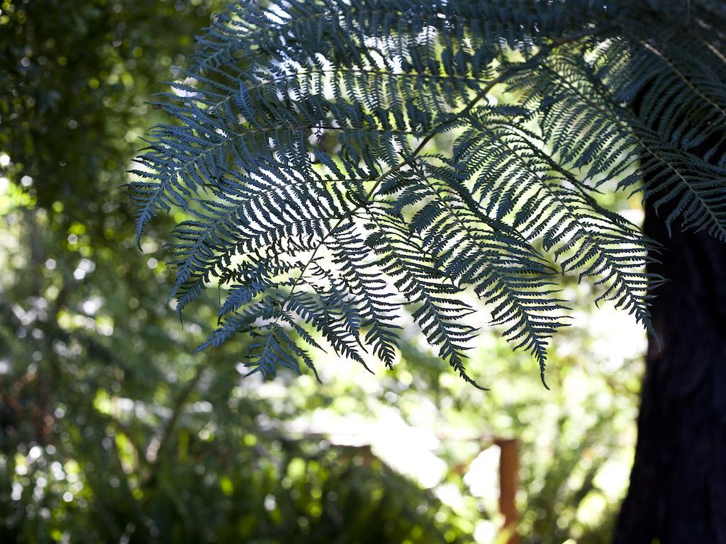 Andelomi Forest Lodge Стормсрівер Екстер'єр фото