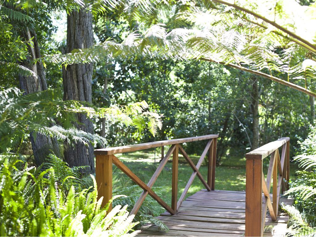 Andelomi Forest Lodge Стормсрівер Екстер'єр фото